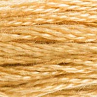 DMC #422 Light Oak official colour swatch