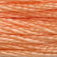 DMC #3825 Muted Apricot official colour swatch