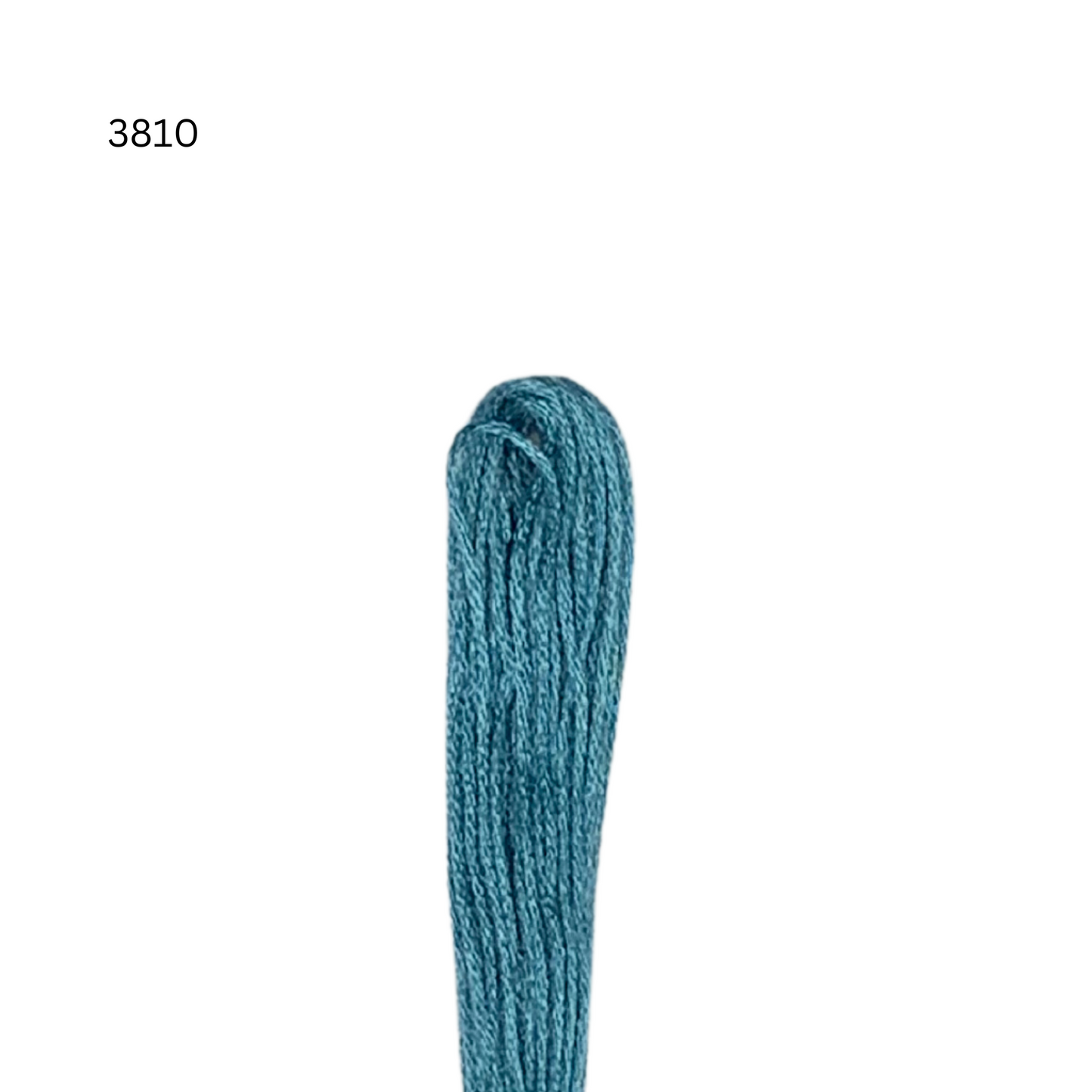 CXC #3810 - Turquoise - Fil de coton 6 brins