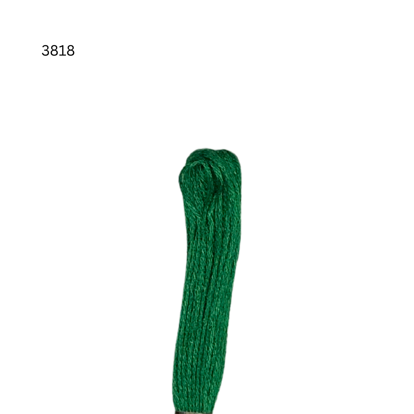 CXC #3818 - Vert émeraude ultra foncé - Fil de coton à 6 brins