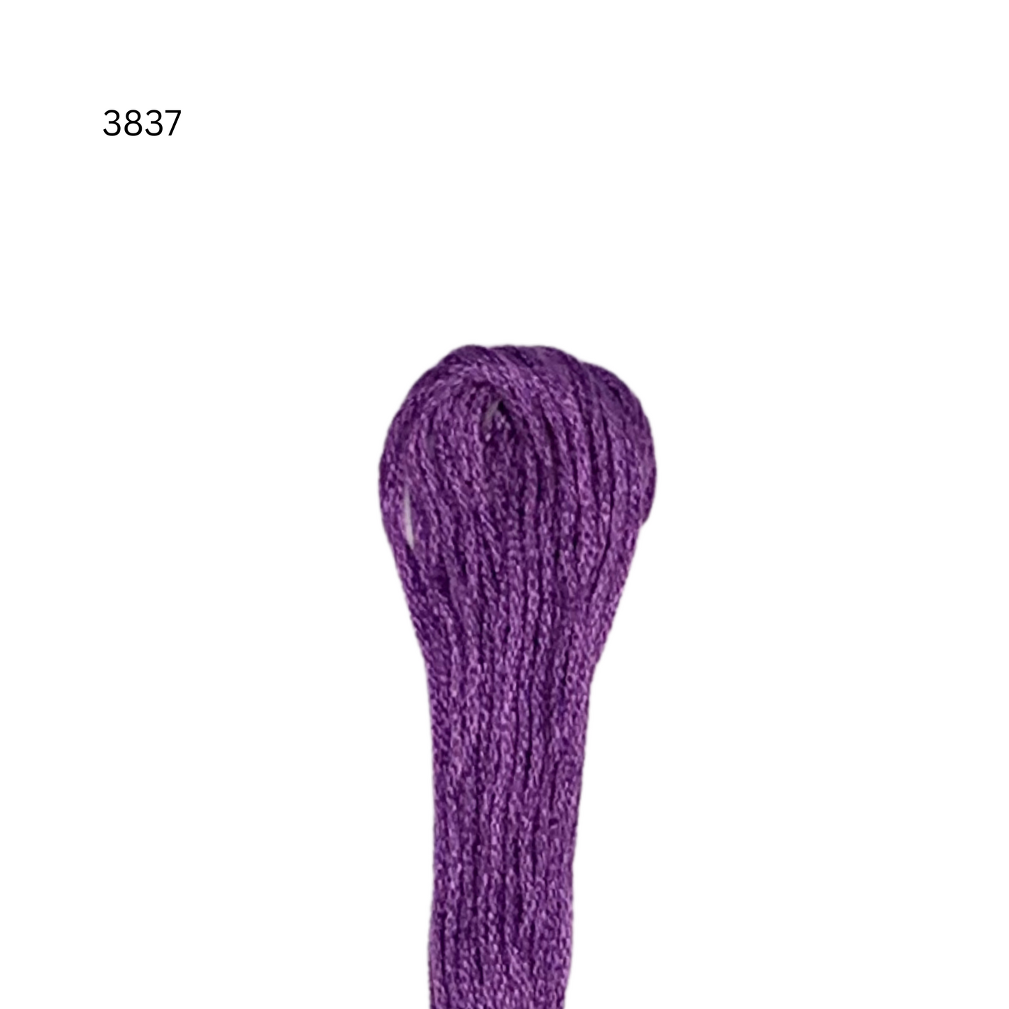 CXC #3837 - Lavande foncée - Fil de coton à 6 brins