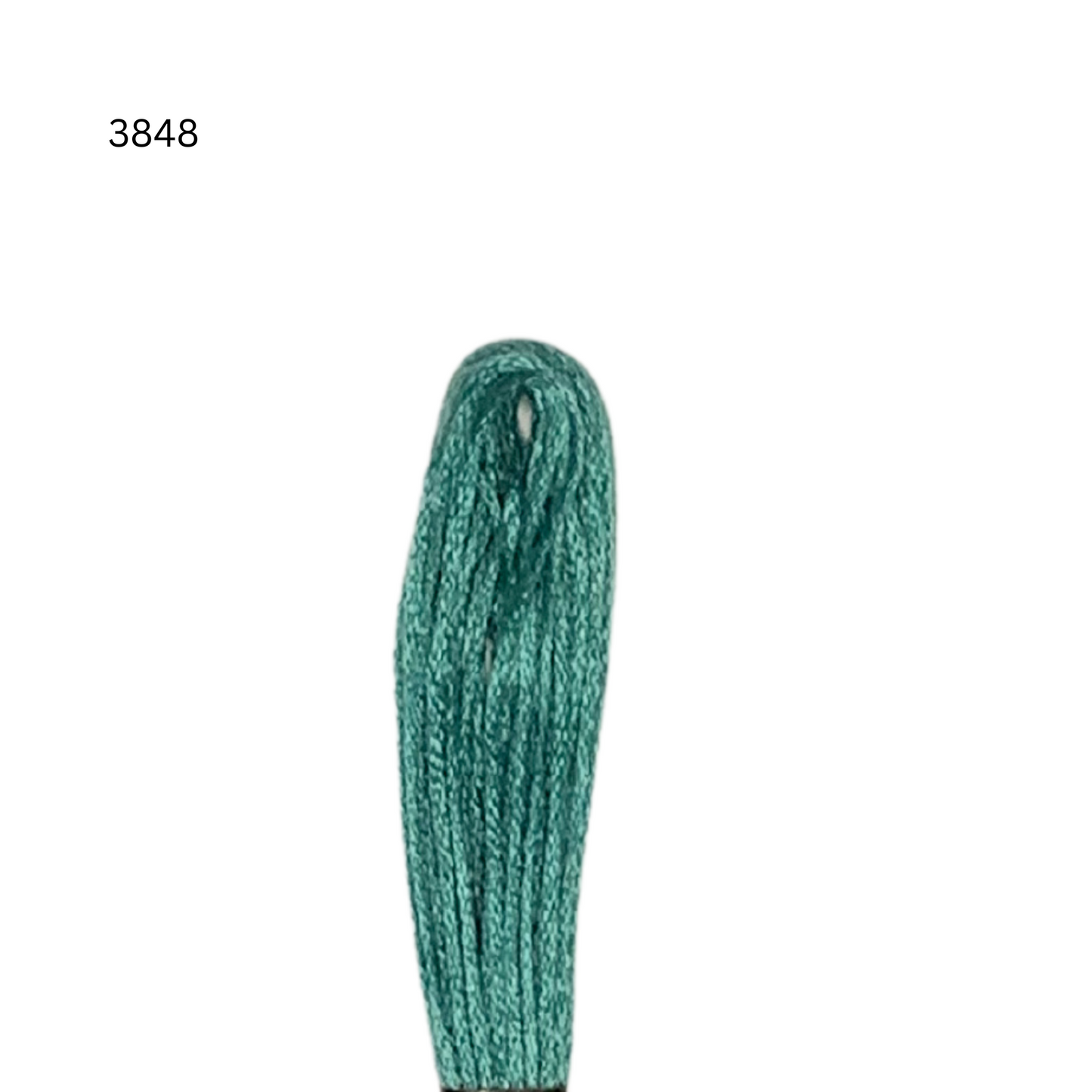 CXC #3848 - Vert foncé - Fil de coton à 6 brins