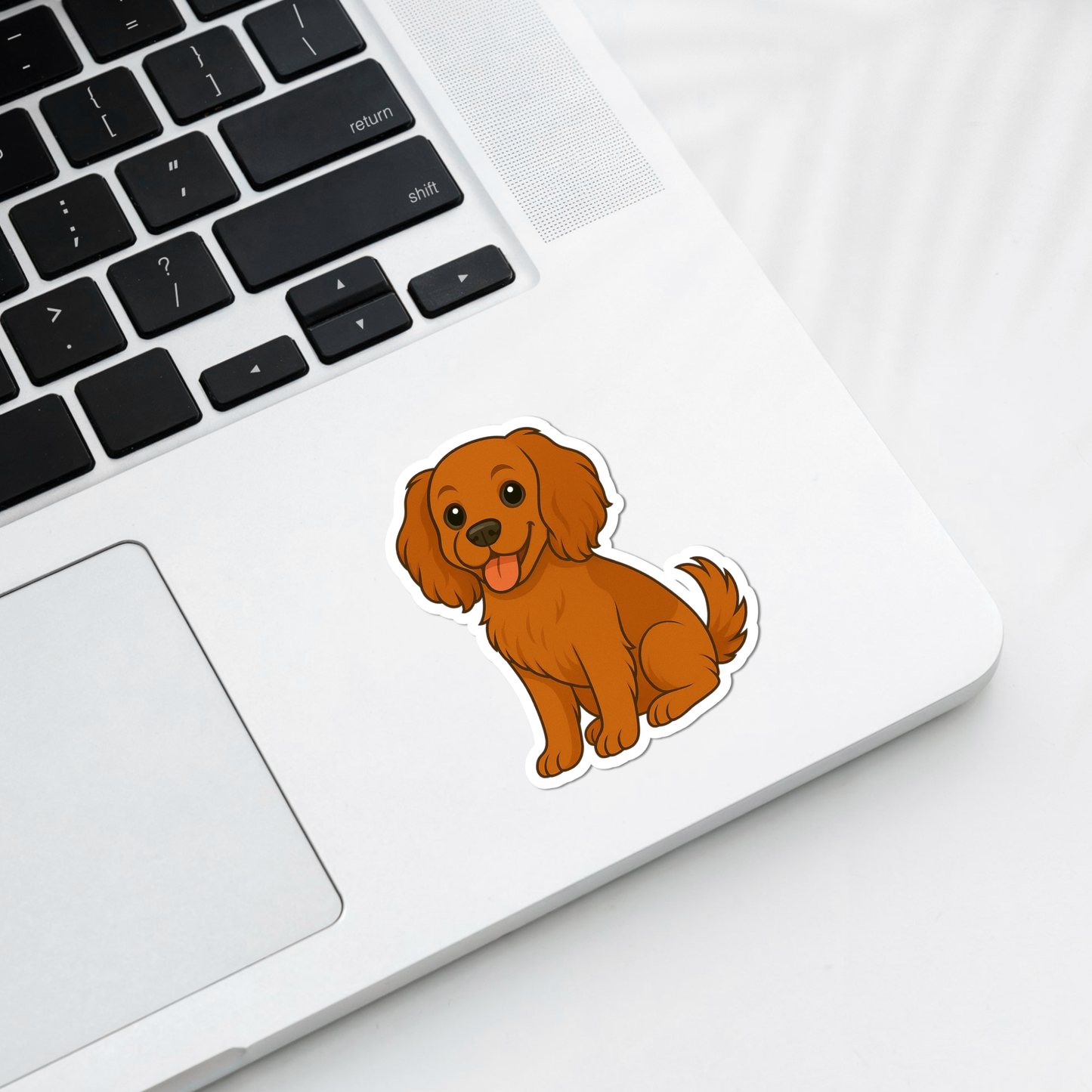 Custom Cockalier Dog Magnet - Ruby | Personalized with Pet Name