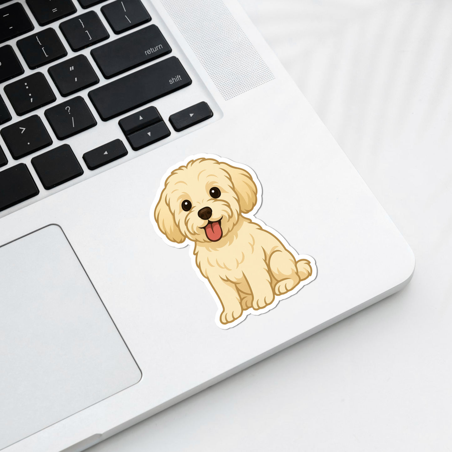 Aimant personnalisé pour chien Maltipoo - Crème | Personnalisable avec le nom de l'animal