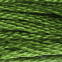 DMC #905 Budgie Green official colour swatch