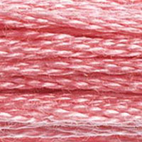 DMC #899 Watermelon official colour swatch