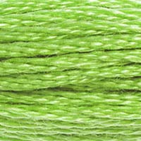 DMC #704 Lime official colour swatch