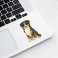 Custom Australian Shepherd Dog Magnet - Tri Colored | Personalized with Pet Name