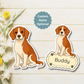 Custom Beagle Dog Magnet - Red and White | Personalized with Pet Name