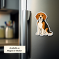 Custom Beagle Dog Magnet - Chocolate Tri-color | Personalized with Pet Name