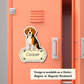 Personalized Beagle Dog Sticker - Tri-color