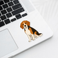 Custom Beagle Dog Magnet - Tri-color | Personalized with Pet Name