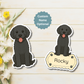 Custom Bernedoodle Dog Magnet - Black | Personalized with Pet Name