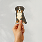 Custom Bernese Mountain Dog Sticker - Tri-colored  | Personalized with Name