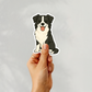 Custom Border Collie Dog Sticker - Black and White | Personalized with Name