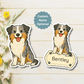 Custom Border Collie Dog Magnet - Blue Merle | Personalized with Pet Name