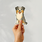 Custom Border Collie Dog Magnet - Blue Merle | Personalized with Pet Name