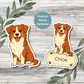 Custom Border Collie Dog Sticker - Red and White | Personalized with Name
