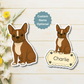 Custom Boston Terrier Dog Magnet - Red and White | Personalized with Pet Name