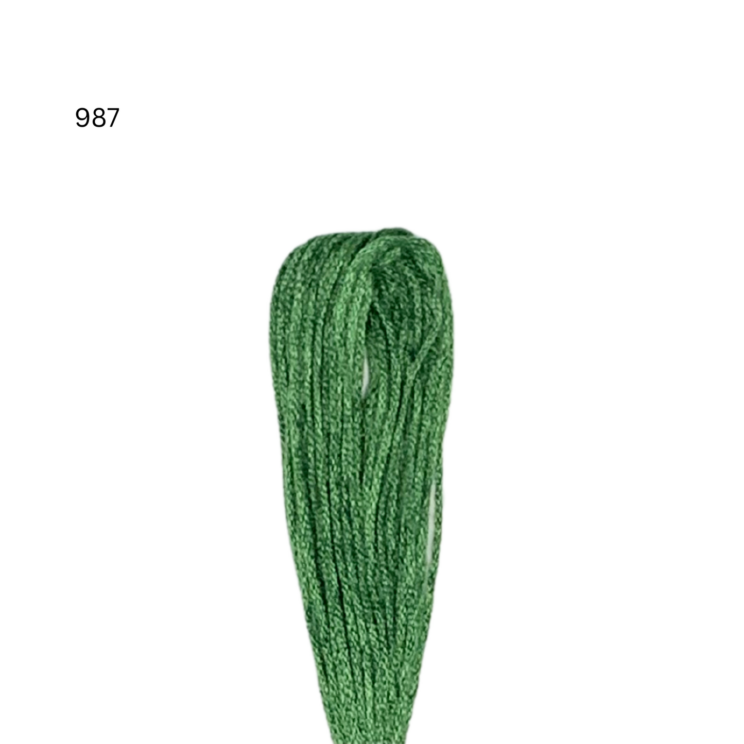 CXC #987 - Dark Forest Green - 6-Strand Cotton Floss