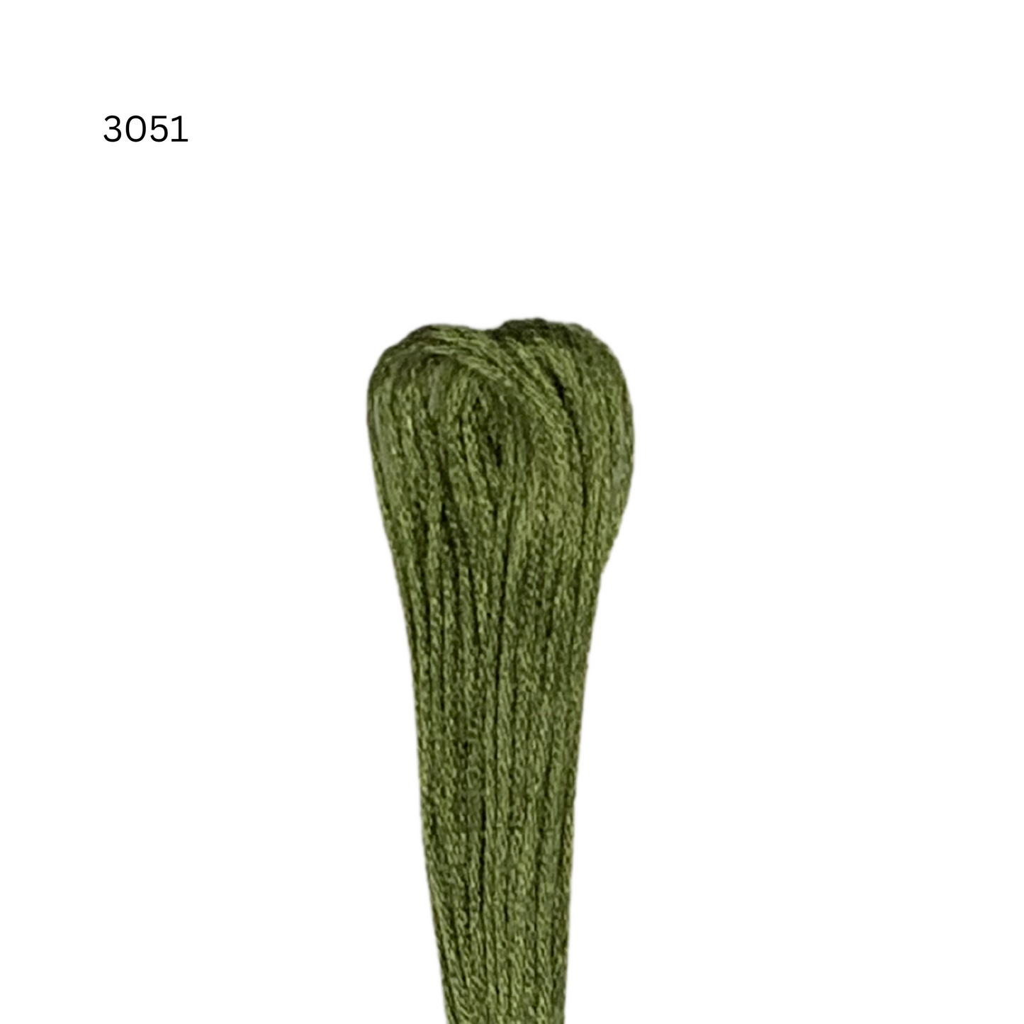 CXC #3051 - Vert-gris très foncé - Fil de coton à 6 brins