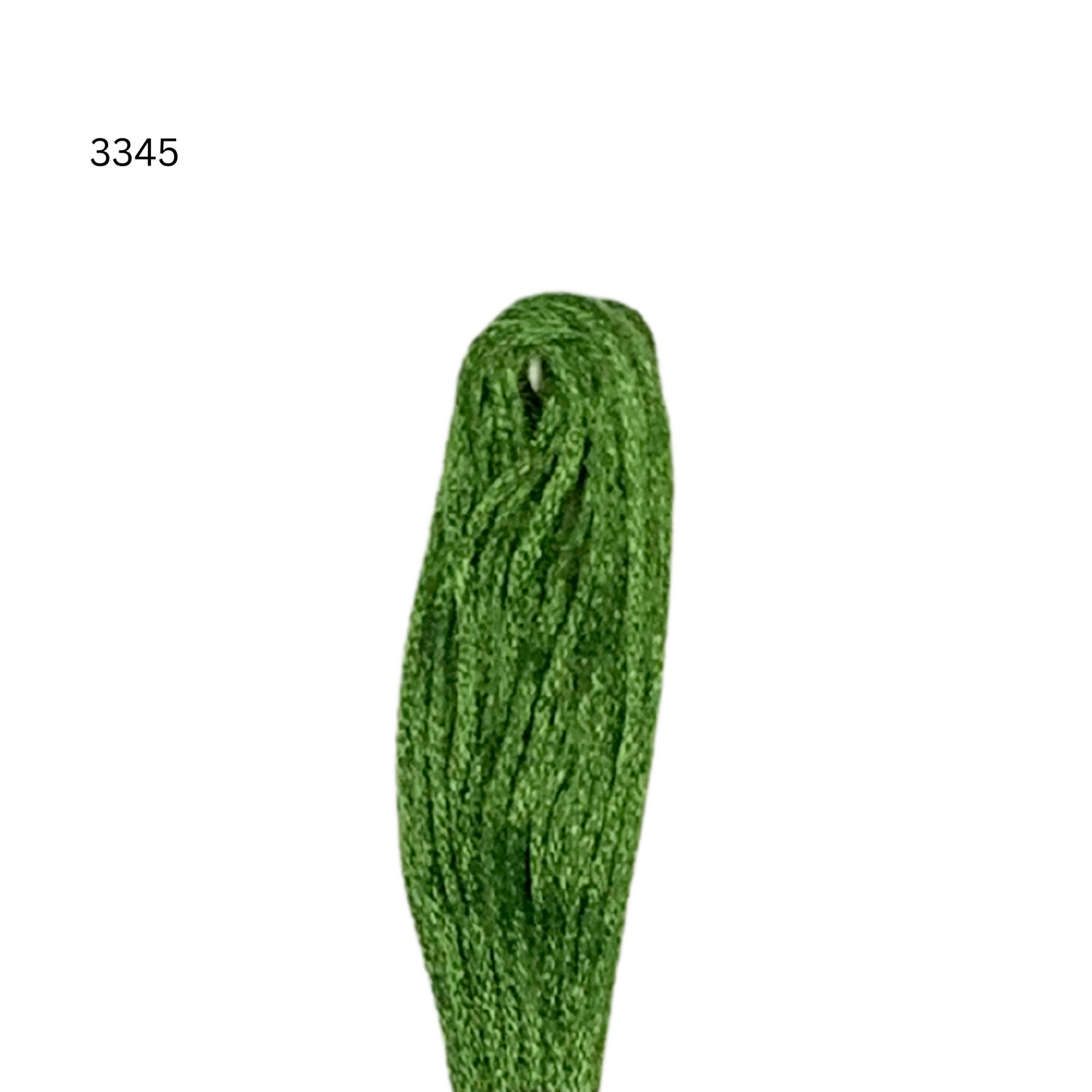 CXC #3345 - Vert chasseur foncé - Fil de coton à 6 brins