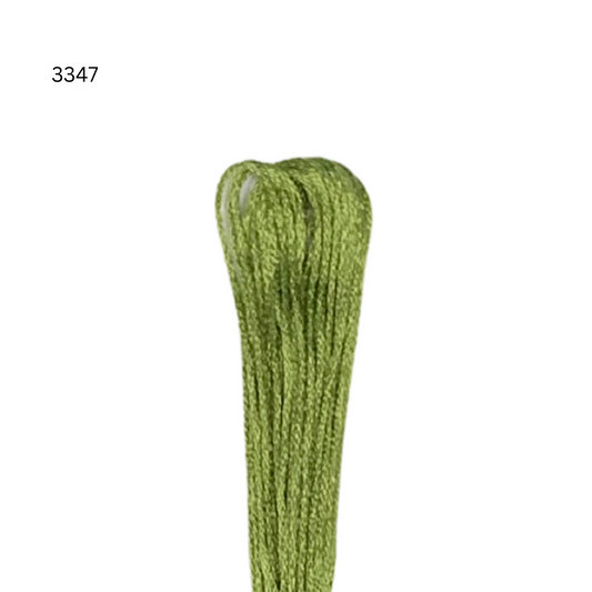 CXC #3347 - Fil de coton jaune vert moyen à 6 brins