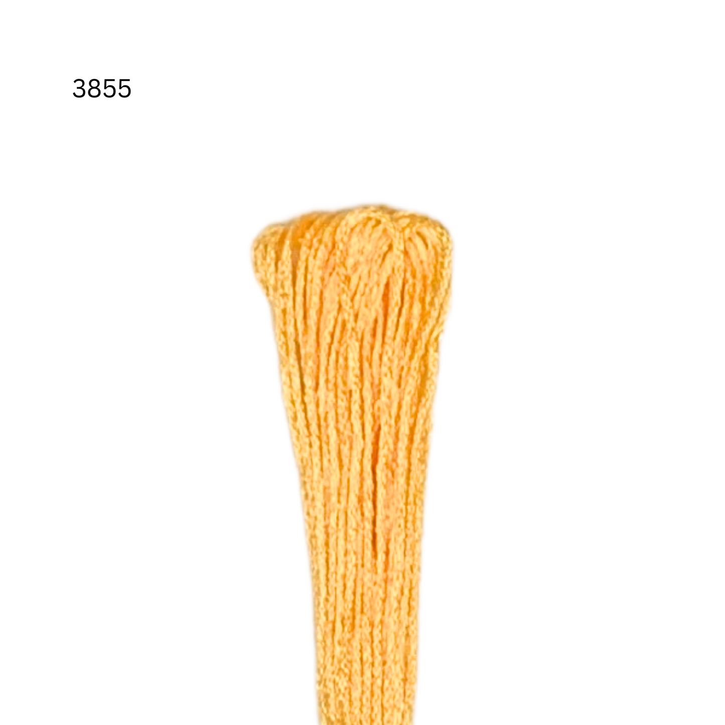 CXC #3855 - Autumn Gold - Fil de coton à 6 brins