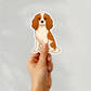 Custom Cavalier King Charles Dog Magnet -  Blenheim | Personalized with Pet Name | Cute Fridge Decor Gift