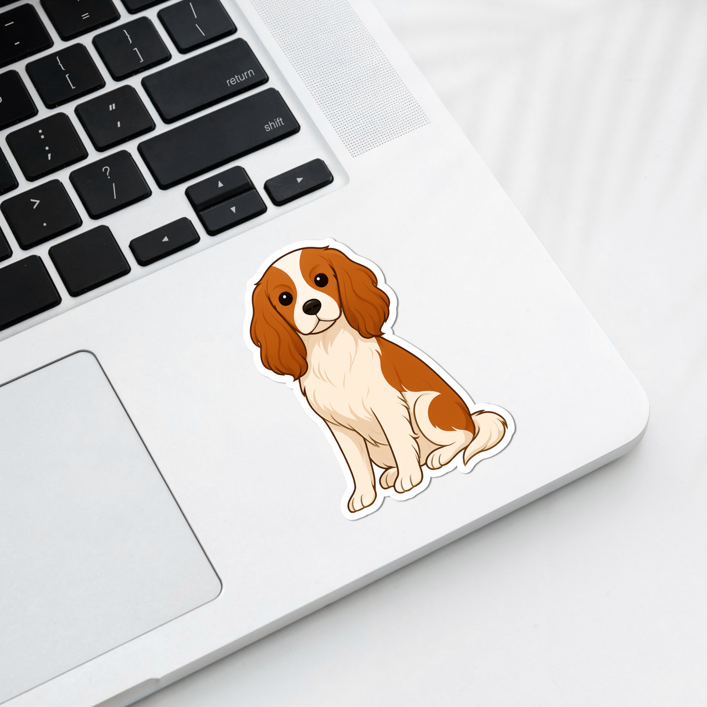 Custom Cavalier King Charles Dog Magnet -  Blenheim | Personalized with Pet Name | Cute Fridge Decor Gift