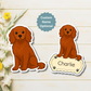 Custom Cavalier King Charles Dog Magnet - Ruby | Personalized with Pet Name