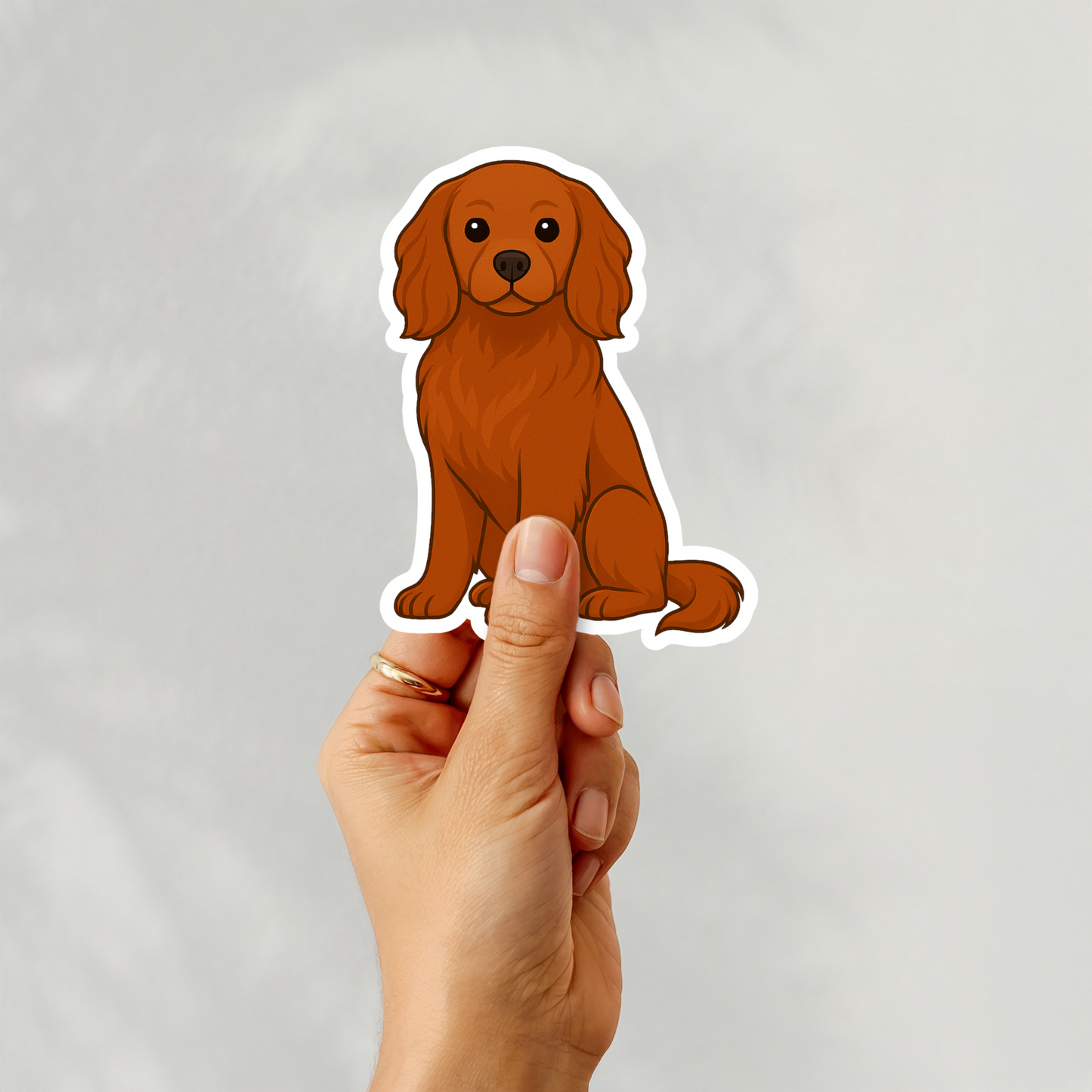 Custom Cavalier King Charles Dog Magnet - Ruby | Personalized with Pet Name