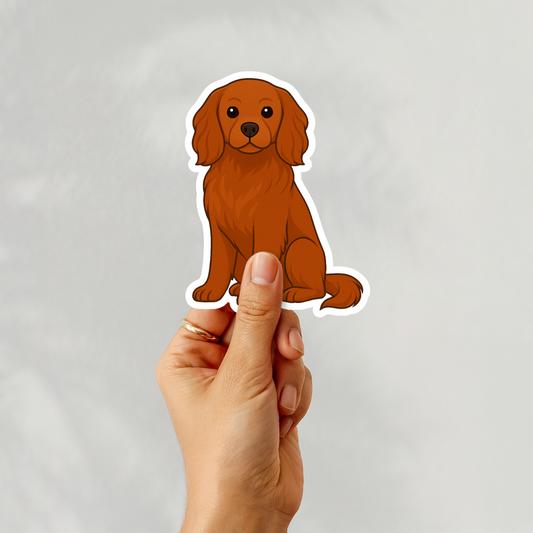 Custom Cavalier King Charles Dog Magnet - Ruby | Personalized with Pet Name