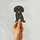 Aimant personnalisé pour chien Cavapoo - Noir | Personnalisable avec le nom de l'animal