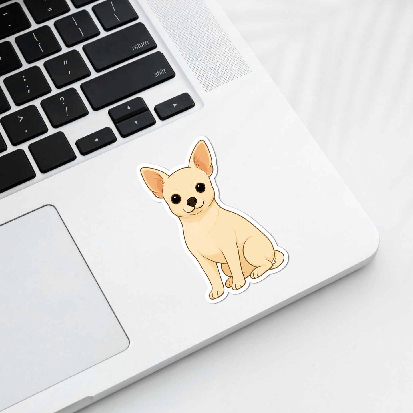 Aimant personnalisé Chihuahua – Poil court blanc | Personnalisable avec le nom de l'animal