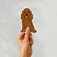 Autocollant personnalisé Cocker Spaniel - Chocolat | Personnalisé avec nom