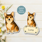 Aimant personnalisé Pembroke Corgi – Sable et blanc | Personnalisable avec le nom de l'animal