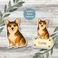 Autocollant personnalisé Pembroke Corgi – Sable et blanc | Personnalisable avec votre nom