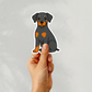Custom Doberman Pinscher Dog Sticker - Natural Ears Black and Rust | Personalized with Name