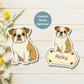 Aimant bouledogue anglais personnalisé – Fauve et blanc | Personnalisable avec le nom de l'animal