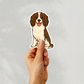 Custom English Springer Dog Sticker - Liver and White | Personalized with Name