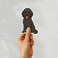 Custom Labradoodle Dog Sticker - Black | Personalized with Name
