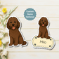 Aimant personnalisé pour chien Labradoodle - Chocolat | Personnalisé avec le nom de l'animal