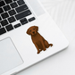 Custom Labrador Retriever Dog Sticker - Chocolate | Personalized with Name