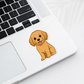 Autocollant personnalisé pour chien Maltipoo – Abricot | Personnalisable avec votre nom