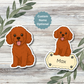 Autocollant personnalisé pour chien Maltipoo - Rouge | Personnalisable avec nom