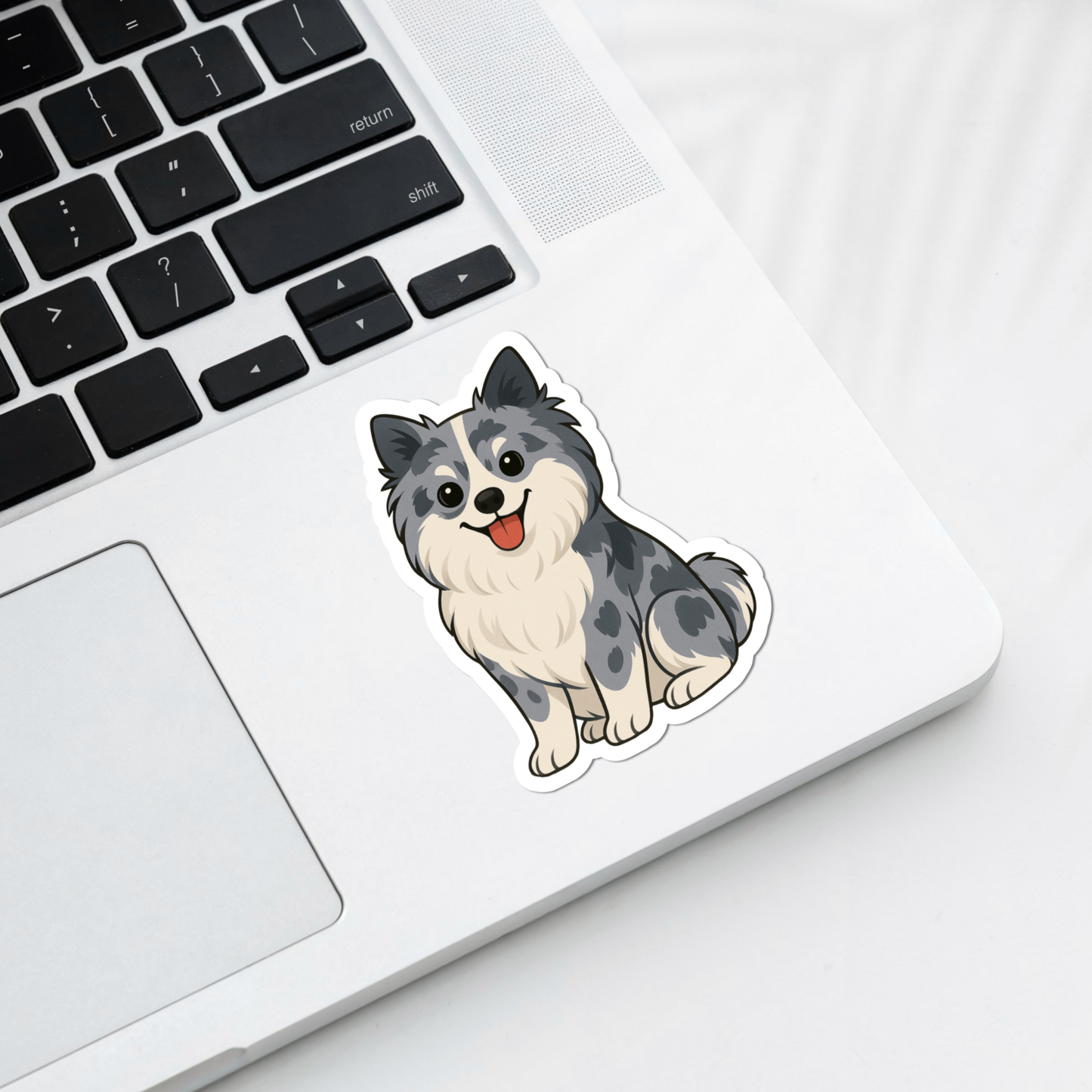 Autocollant personnalisé pour chien Pomeranian – Bleu Merle | Personnalisable avec votre nom