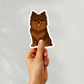 Autocollant personnalisé Pomeranian - Chocolat | Personnalisé avec nom