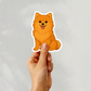 Autocollant personnalisé Pomeranian - Orange | Personnalisable avec nom