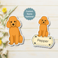 Poodle - Apricot dog merchandise hero